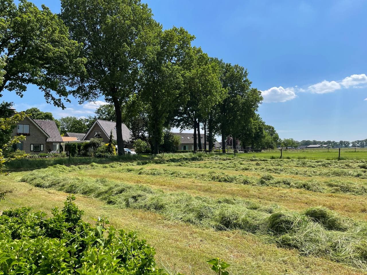 Hooiland in De Wolden met dorpshuizen op de achtergrond