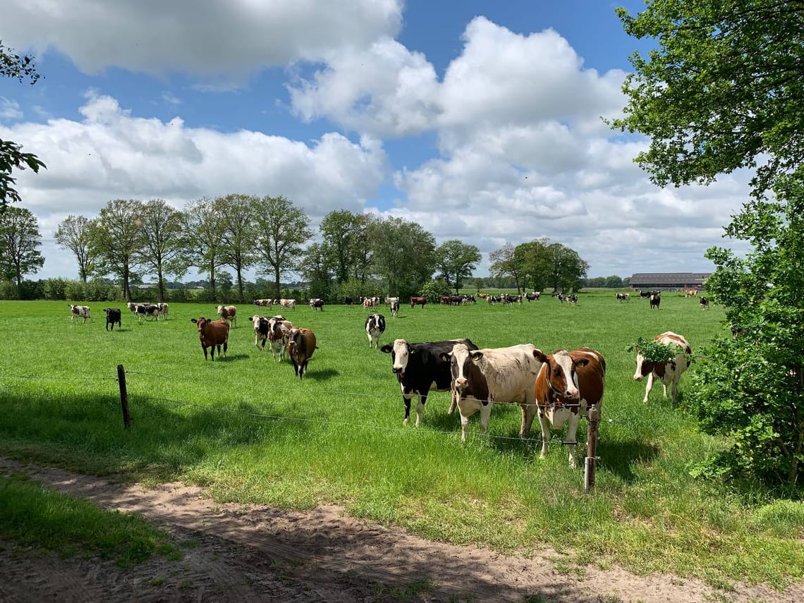Een zorgzame gemeenschap voor iedereen
