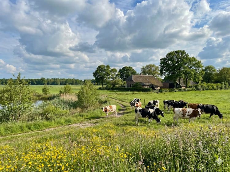 Diepteartikel: Het adagium van Rudy Rabbinge “de juiste landbouw op de juiste plaats”